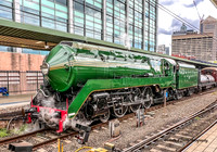 3801 Locomotive