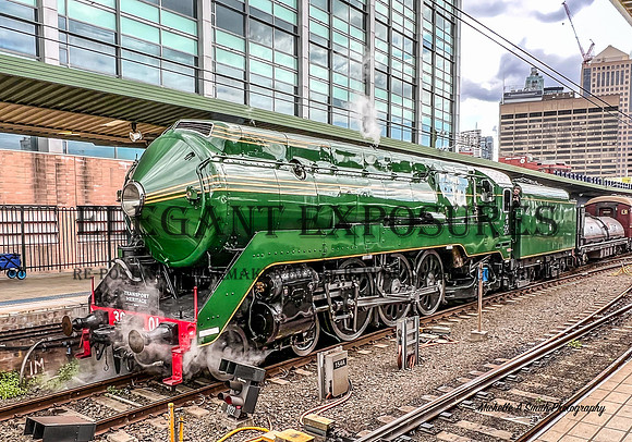 3801 Transport Heritage Expo - MAS_5948