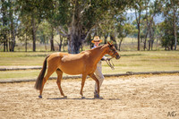_AJG1029