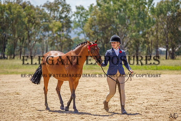 _AJG1201