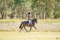 _AJG0938