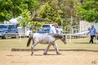 _AJG0887