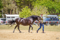 _AJG0987