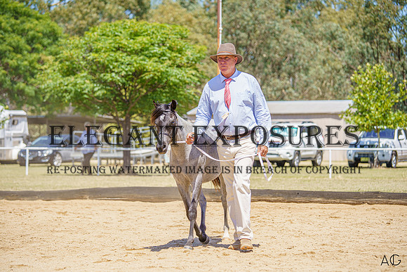 _AJG1012