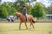 _AJG2927