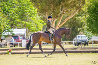 _AJG2948