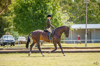 _AJG2953
