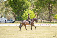 _AJG2957