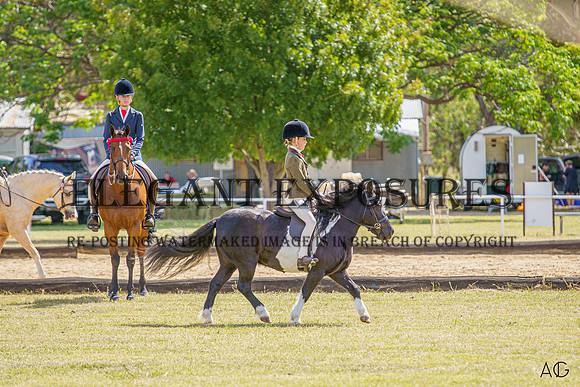 _AJG3050