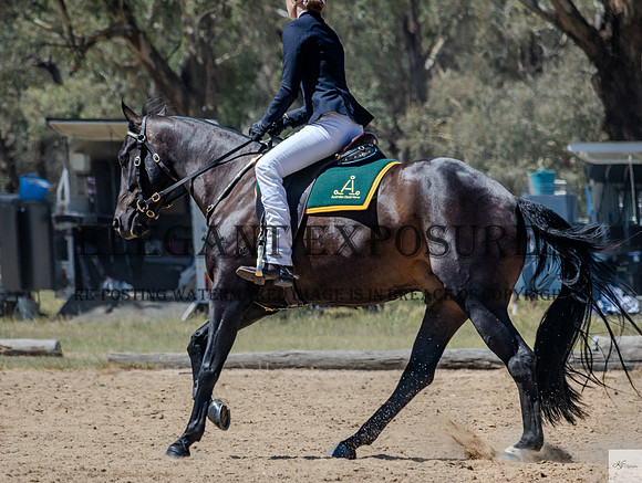 KAT-1873
