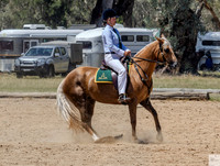 WPCS-Western - Ring 6 11/02/2024