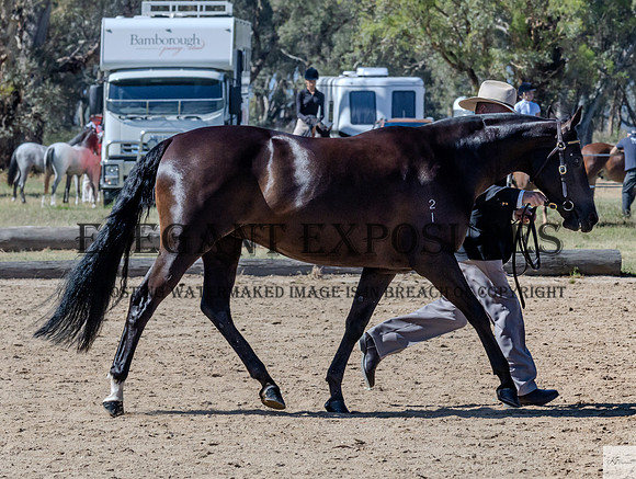 KAT-1040