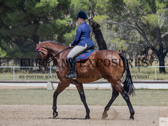 KAT-2010