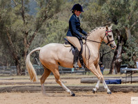 WPCS-Western - Ring 1 11/02/2024