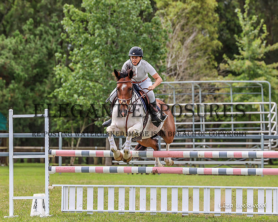 LHL(MS)-5572
