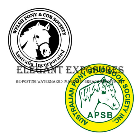 ASPB & WELSH