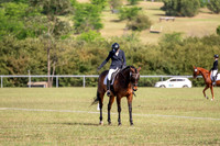 OLS_1246