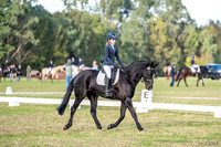 OLS_2465