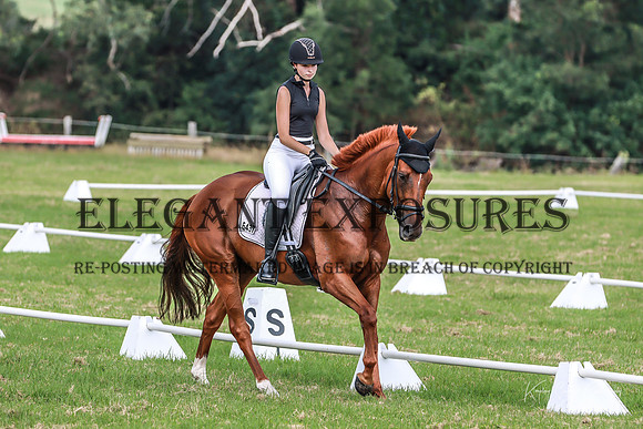 KMS-2588