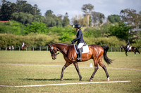 OLS_1219