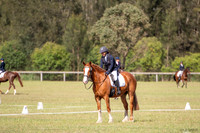 OLS_1213