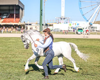 Royal Canberra Show Ring 2 22.02.2024