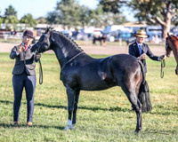 MKG_7754
