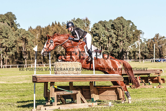 KMS-71