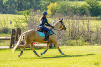 _AJG3285