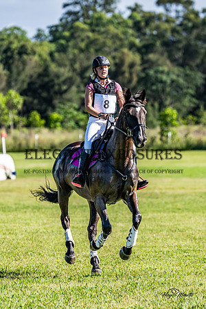 HM_1551