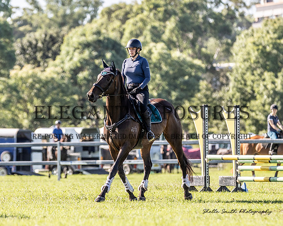 MAS_6637
