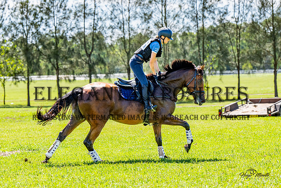 HM_3703