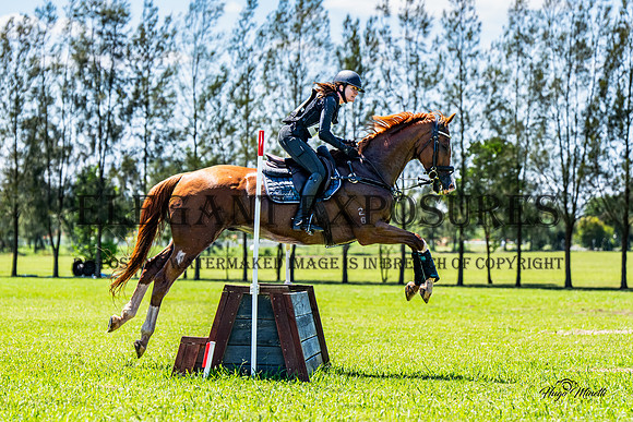 HM_6191