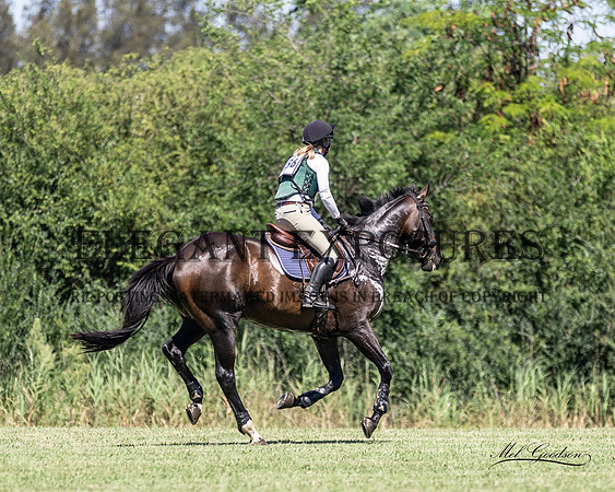 MKGX8426