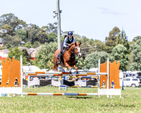 Equestriad - SJ - Arena 2 - 1* - 25.02.2024