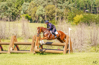 _AJG6181