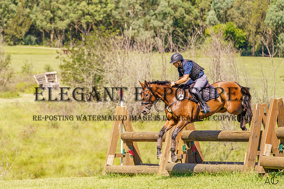 _AJG6208