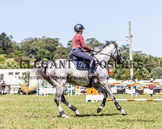 MAS_9110