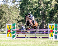 Showjumping 25.02.2024