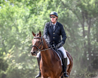 OLS_0261
