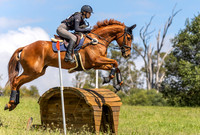 Equestriad Hunter Trials November - P1