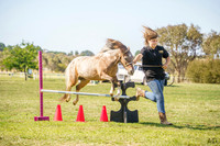 AMHS Southern Summer Outdoor Arena 19.01.2025