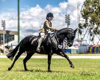 Royal Canberra Show Ring 1 22.02.2024