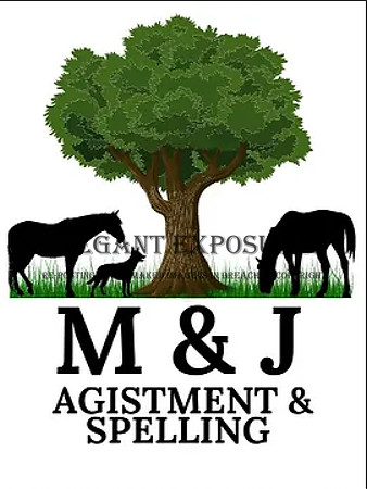 M&J