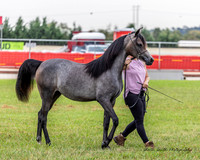 MAS_0249