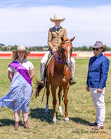 Show horses / Hacking