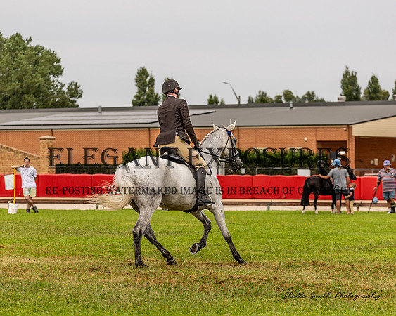 MAS_0553