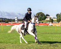 GSS - Sunday - Showjumping - 60cm - 03.03.2024