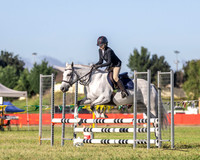 GSS - Sunday - SJ - 75cm - 03.03.2024