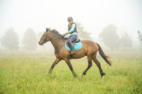 _AJG9722